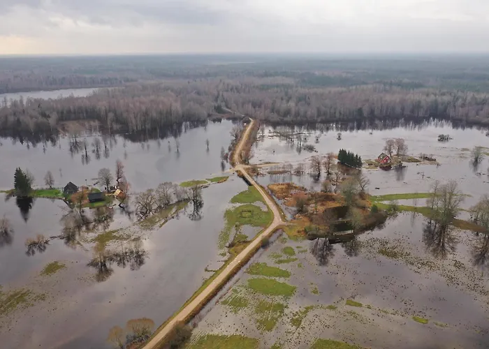 Apartament Free Parking L Everything Nearby L Easy Self Check-in *